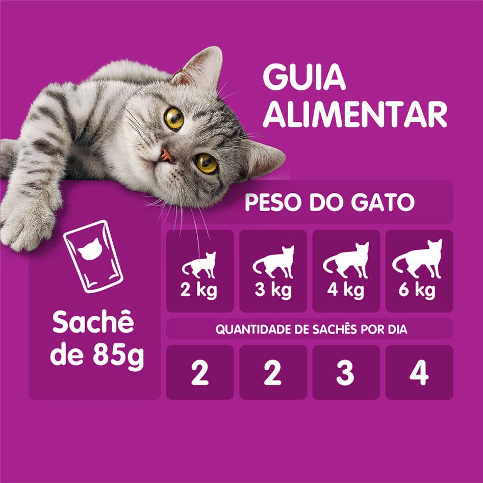 KIT Ração Úmida Whiskas Sachê Carne Jelly para Gatos Adultos Sênior 7 + Anos 40 UNIDADES